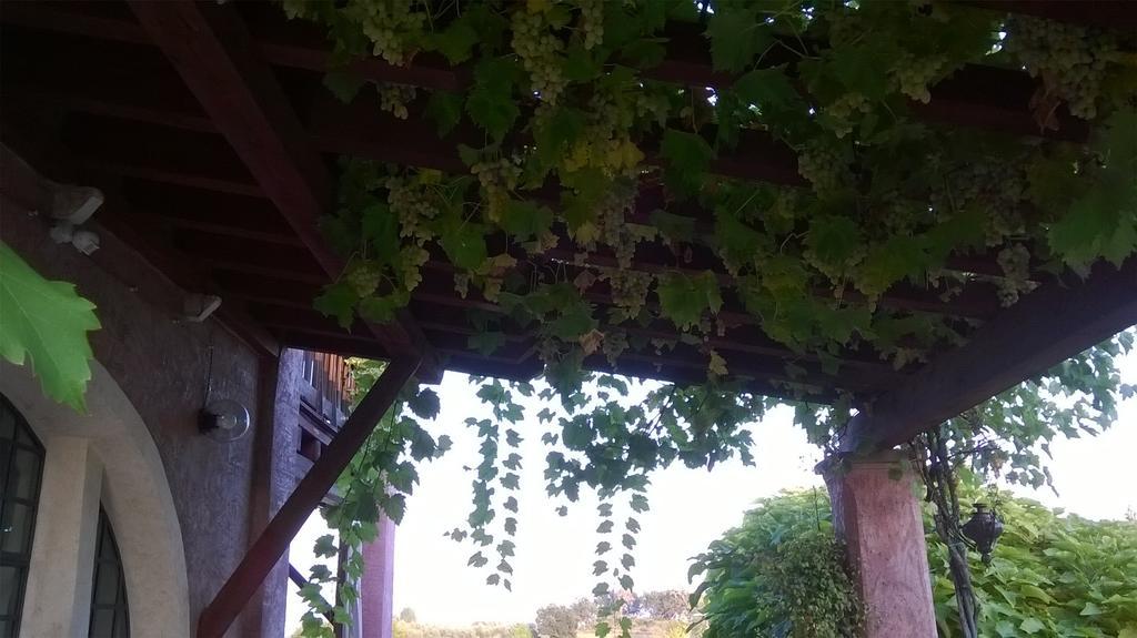 B&B Posserle Padenghe sul Garda Exterior foto